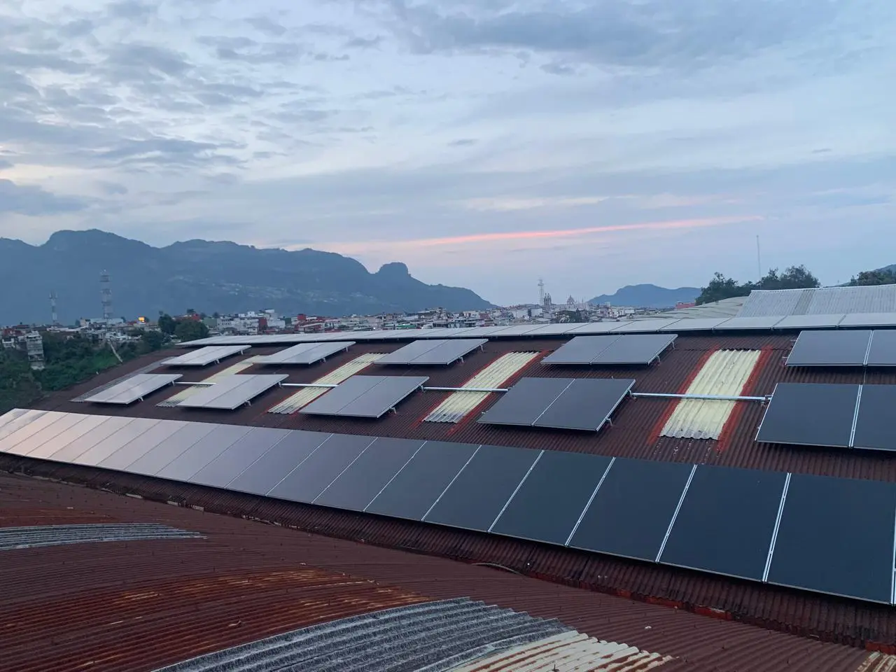 ¿Sabes cuáles son los beneficios de ser una empresa sostenible?