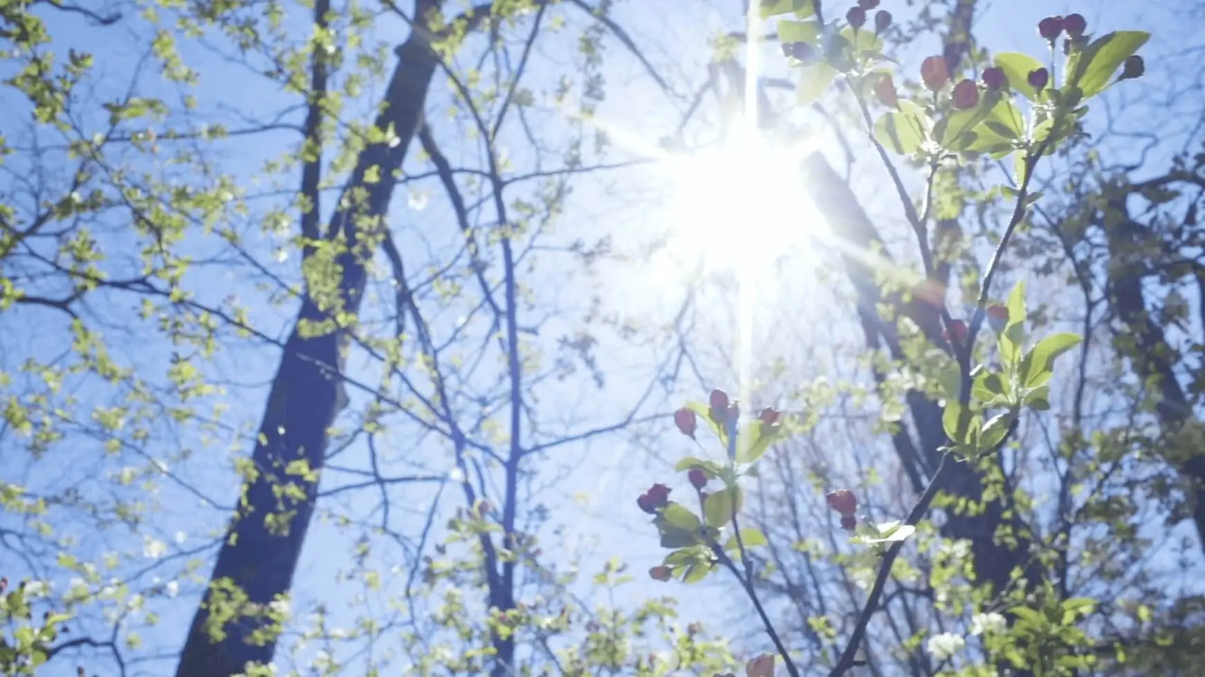 Descubre cómo empresas líderes han transformado su consumo energético, reducido costos y alcanzado sus metas de sostenibilidad con nuestras soluciones financieras y operativas.